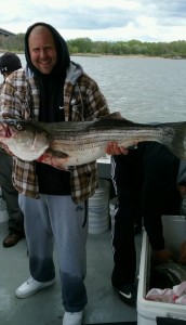 BIG STRIPERS NOW !           