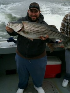 BIG STRIPERS NOW !          