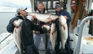 BIG STRIPERS NOW !          
