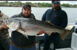 BIG STRIPERS NOW !           