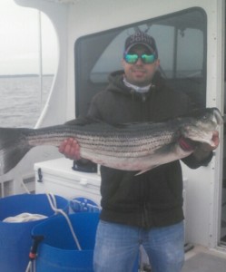 SPRING 2016 STRIPERS & BLUES     
