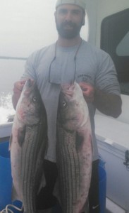 STRIPED BASS NOW  