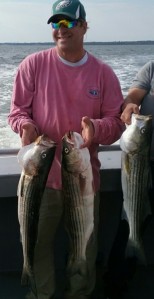 FALL 2016 STRIPERS - IT"S ON ! BOOK NOW !