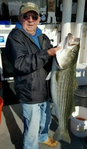 HUGE STRIPERS LEAPING BOOK  NOW