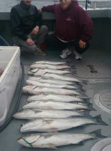 EPIC FALL STRIPERS !